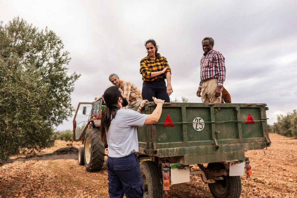 Tipos de enganches para remolques agrícolas