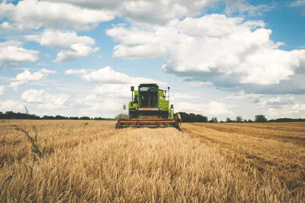 Desbrozadora para tractor: tipos, usos y cuál te conviene más