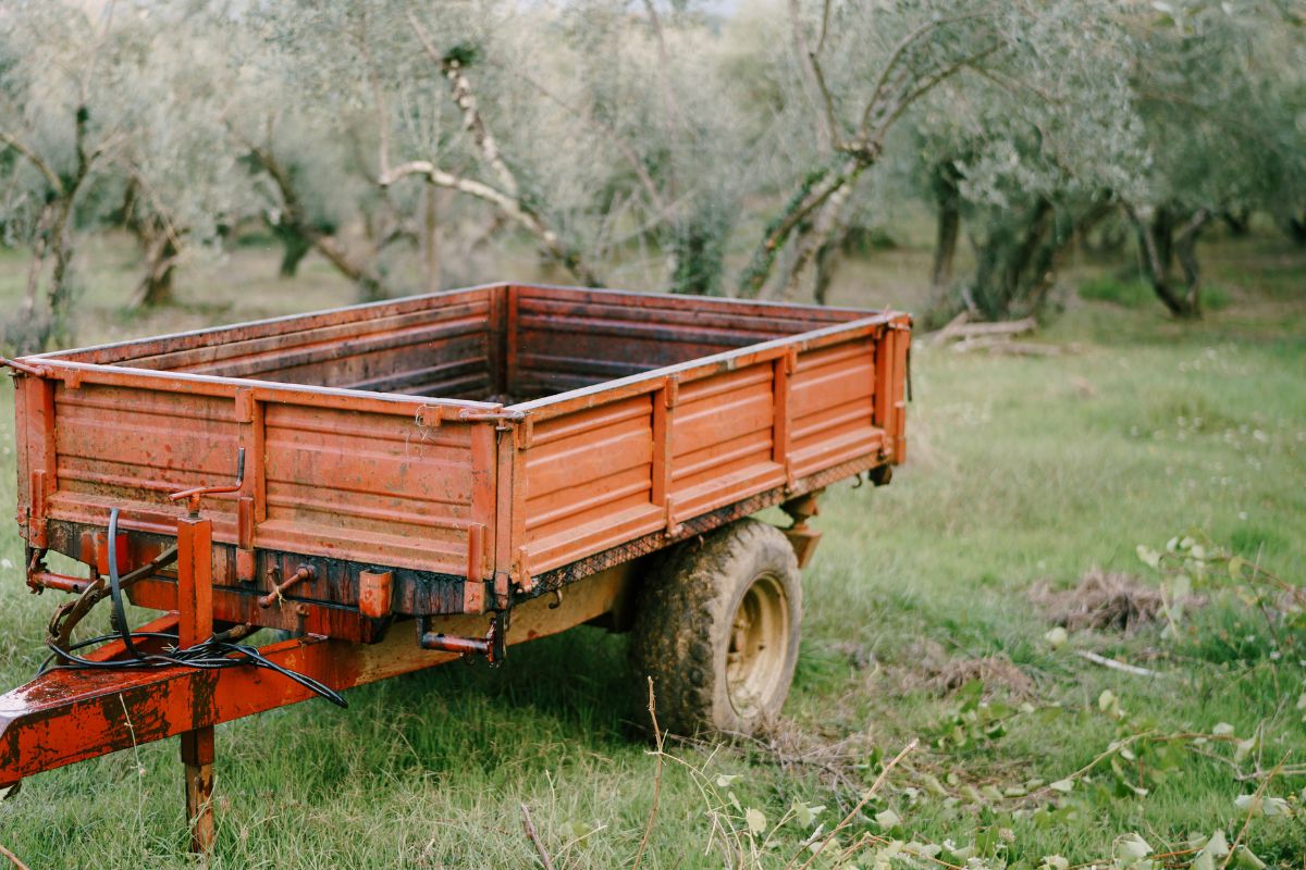 Ventajas del remolque agrícola basculante en la recolección del olivo